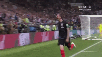 Celebrate World Cup GIF by FIFA