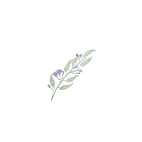 Allied Health Speech Pathology Sticker by LetsGrowTogether