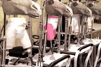 jonnys_world robot horses GIF