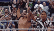wrestlemania 32 wrestling GIF by WWE