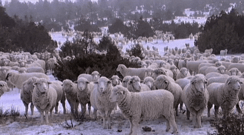 GIF by UnionDocs