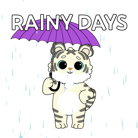 Bitcoin Rain Sticker by Ordinary Frends