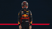 ver formula 1 GIF by Red Bull Racing