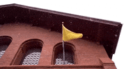 Snow Uvm GIF by University of Vermont
