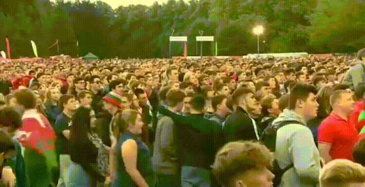 fans better mental welsh going GIF