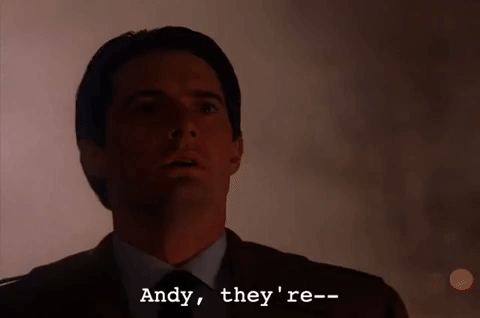 Season 2 Episode 21 GIF by Twin Peaks on Showtime