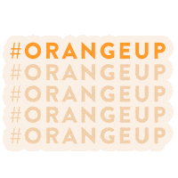 kidneycancerassociation orange kidney cancer kidney cancer association Sticker