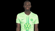 In Love Heart GIF by VfL Wolfsburg
