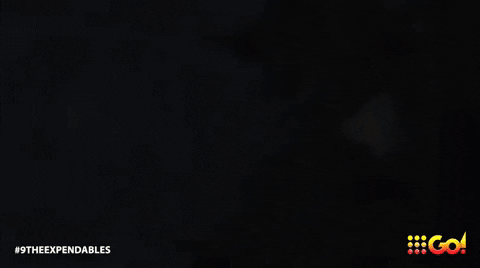 The Expendables GIF by 9go
