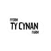 Pwllheli Sticker by Ty Cynan