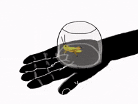 Save Cri Cri GIF by Barbara Pozzi