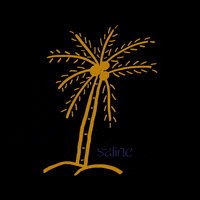 salinetaiba saline taiba saline taiba saline boutique hotel GIF