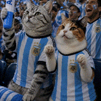 World Cup Celebration GIF