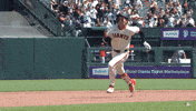 Sliding Giants Baseball GIF by San Francisco Giants