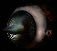 Turbine Walking Bread GIF by Alex Boya