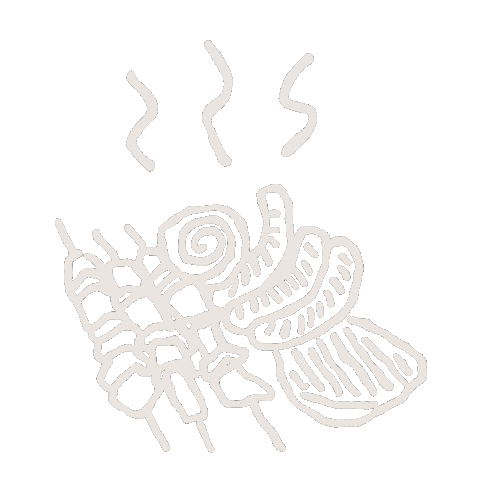 South Africa Sticker by Spotify