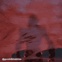 Trending Spooky Vibes GIF