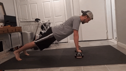 cuteanimalland giphyupload GIF