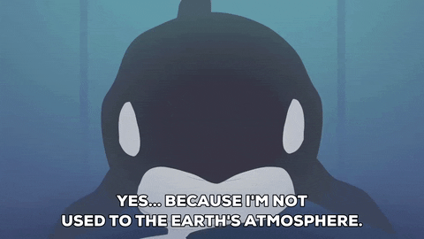 killer whale earth GIF by South Park 