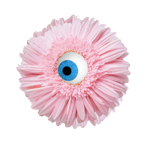 Pink Flower Sticker by Chantal Caduff