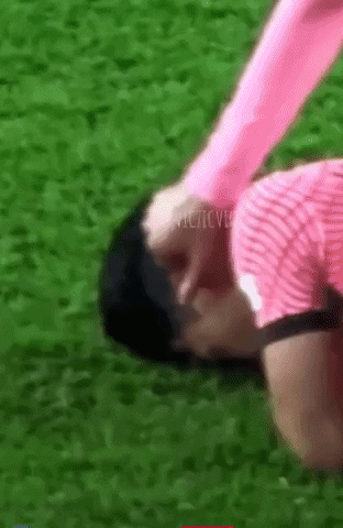 highansol93 giphyupload GIF