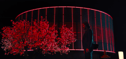 John Wick in Silence