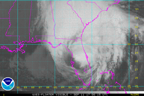 Tropical Storm Usa GIF by euronews