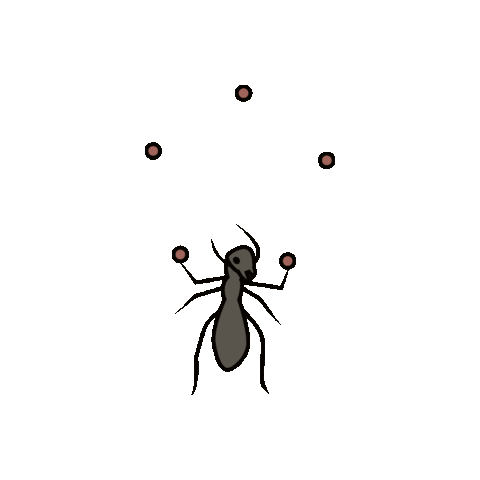 focus insect Sticker by Gudim