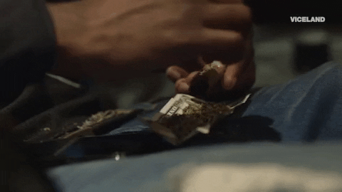 GIF by Black Market