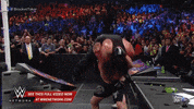 wwe sports wwe wrestling 2015 GIF