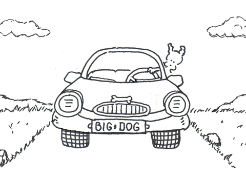 driving road trip GIF by Chippy the dog