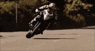 wheelie GIF