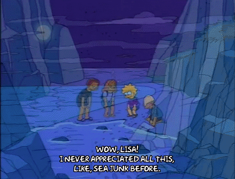 Lisa Simpson Episode 25 GIF by The Simpsons