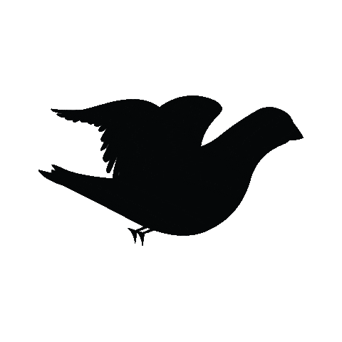 dynart giphyupload blackbird animatedbird dynart Sticker