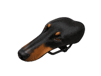 Dog Doberman Sticker