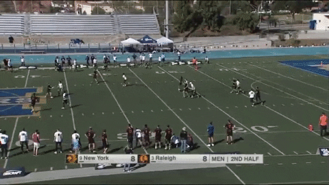 flikulti ultimate frisbee flik GIF