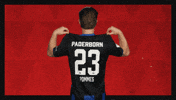 Sc Paderborn 07 Football GIF by Bundesliga