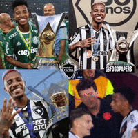 Serie B Futebol GIF