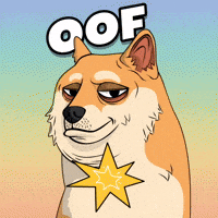Fail Shiba Inu GIF by Doge Pound
