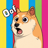 Shiba Inu Wow GIF by Doge Pound