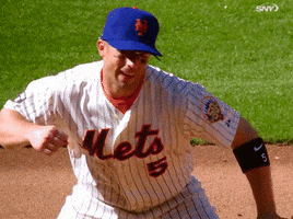 new york mets GIF