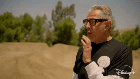 Episode 7 Bikes GIF by The World According to Jeff Goldblum | Disney+