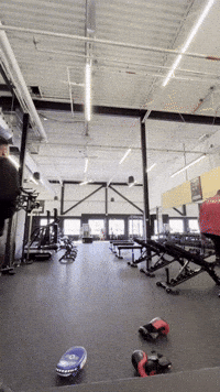 Martial Arts Gym GIF by Casol