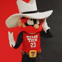 Texas Tech Wreck Em GIF by Texas Tech Basketball