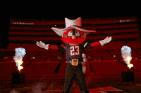 Texas Tech Sport GIF by Texas Tech Football