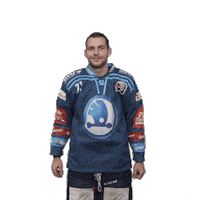 Hockey Thumbs Up Sticker by HC Škoda Plzeň