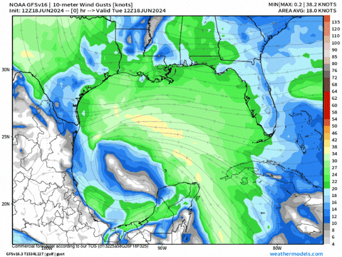 lonestarlive giphyupload wind gusts GIF