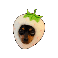 Dog Sticker