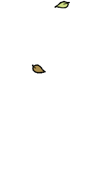 Fall Season Loop Sticker by CabsmediaDE