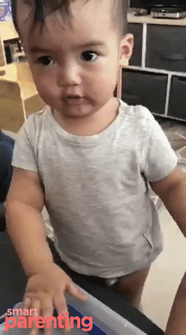 anagonzalesb2ff giphyupload GIF
